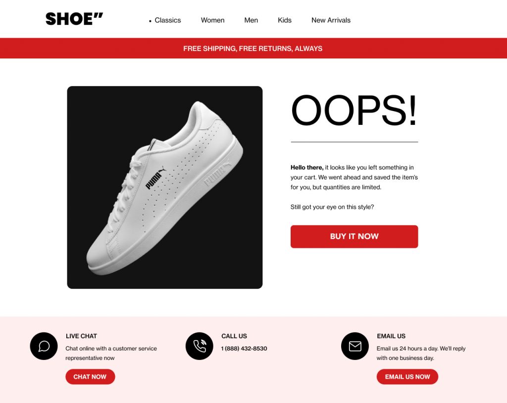 Shopify exit intent popup example cart abandonment 2 MyShopKit - Ecommerce Solution