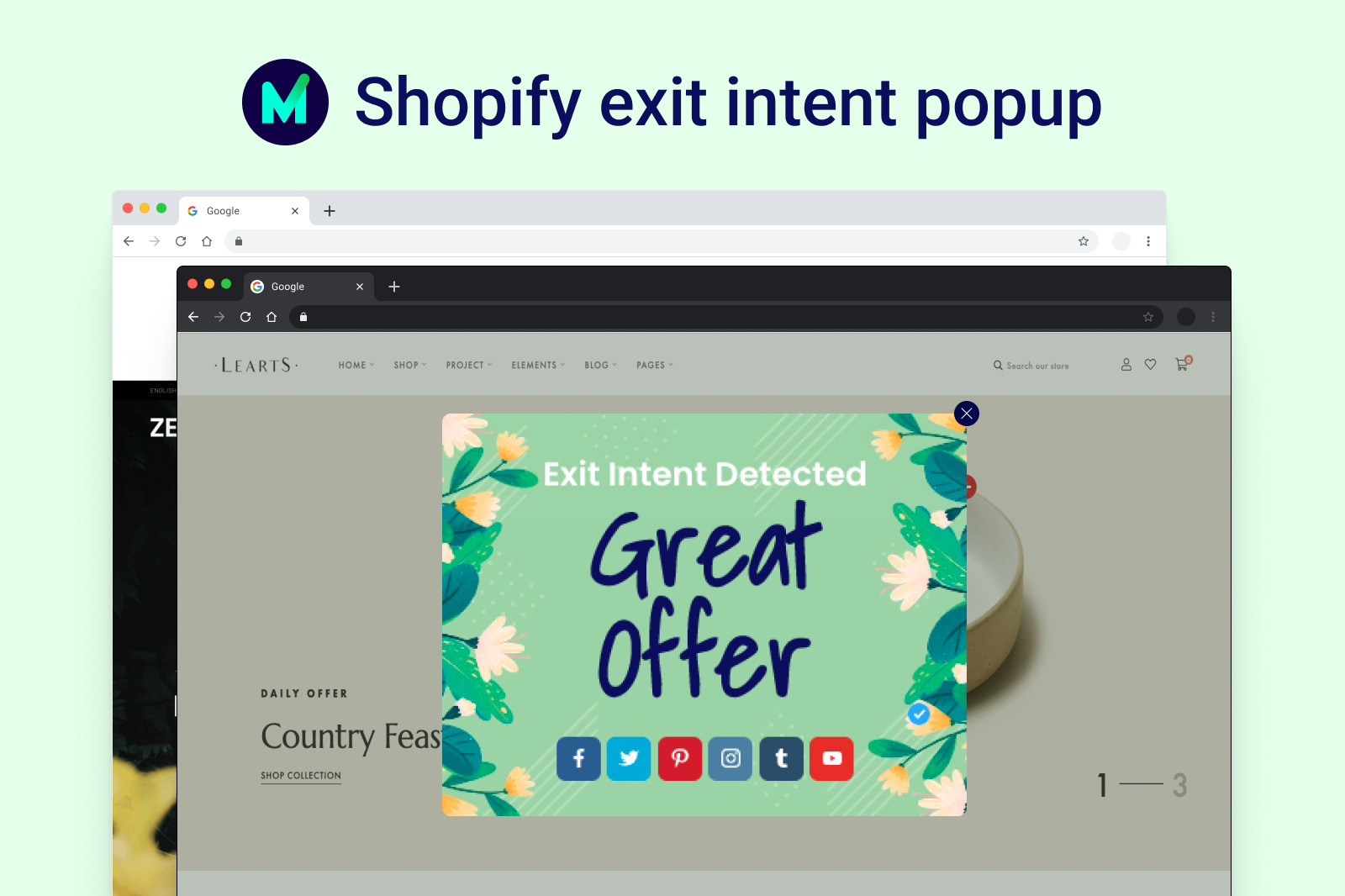 Shopify-exit-intent-popup